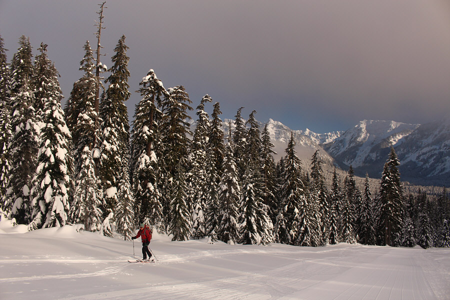 Nice and quiet here!