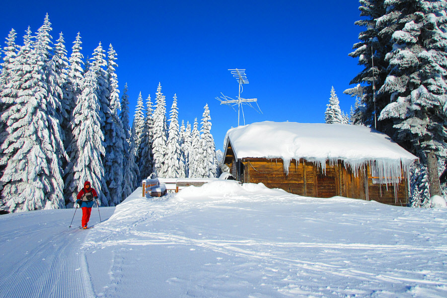 Love the old school farmer-vision antenna!