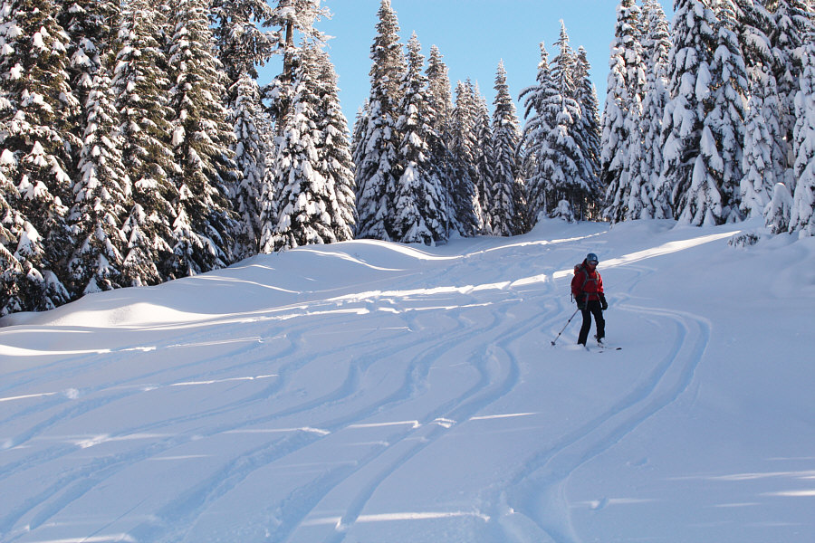 Skiing between the lines!