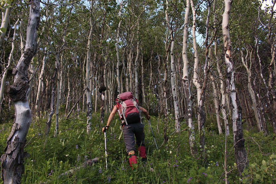 At least we're not post-holing!