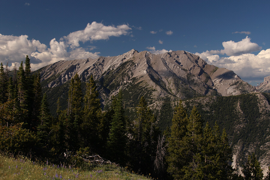 Phillipps Peak is the more enjoyable scramble in my opinion.