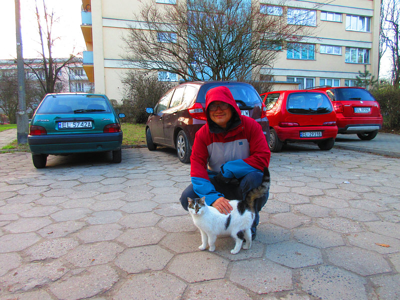 It's no fox, but the cat will do!