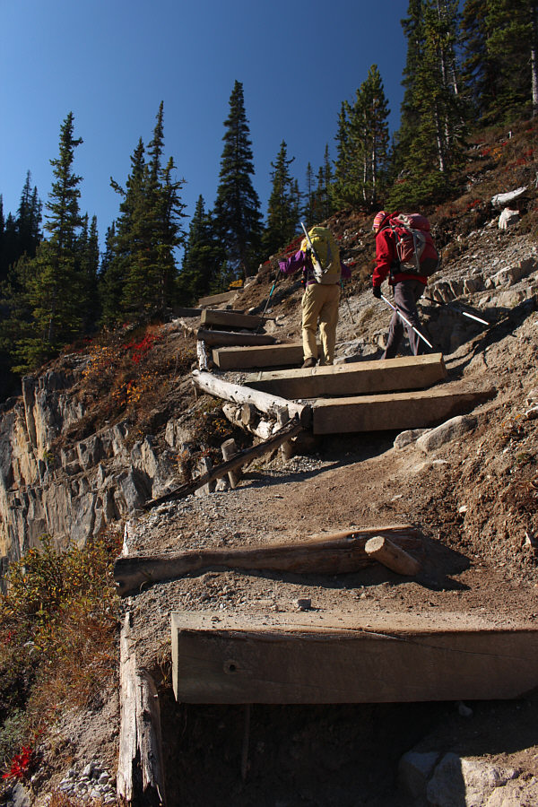 Not great for Slinky toys!