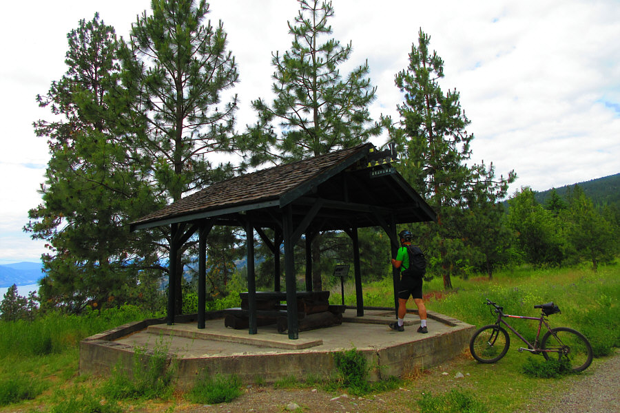 The similar "arowana" is an aquarium fish popular with Asians.