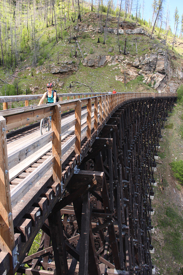 Nice trestle!