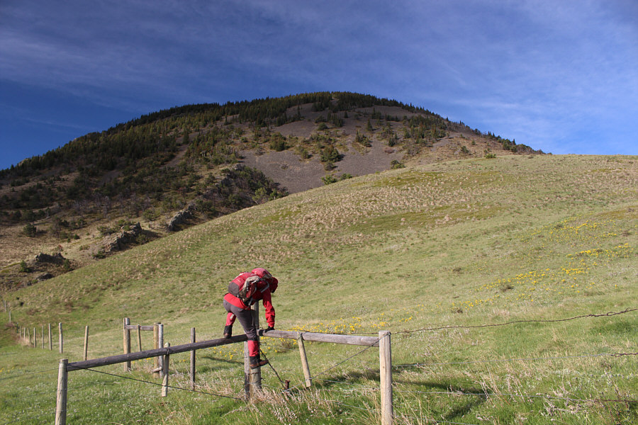 Lance told us it was okay to go through here. 