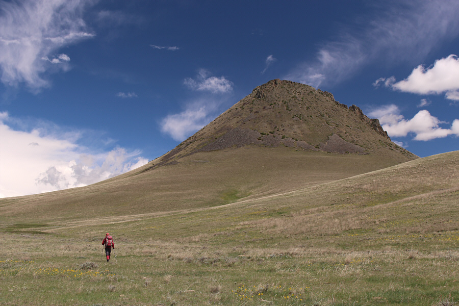 Piece of cake, right?