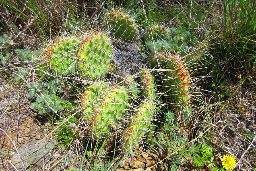 Watch where you step!!