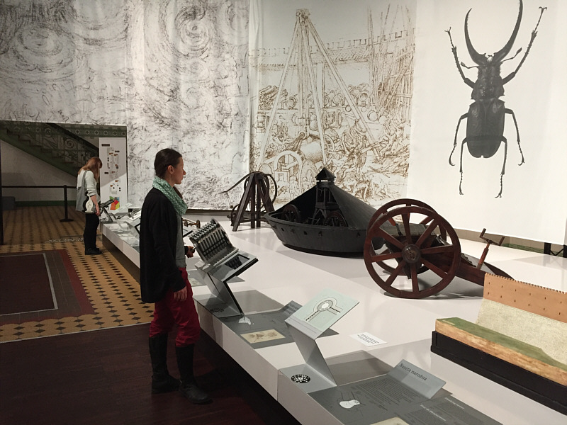 There's a giant beetle on the wall!