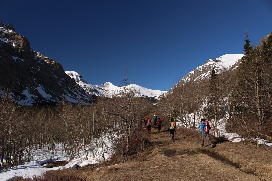 If the gate was open, you could easily drive this far...