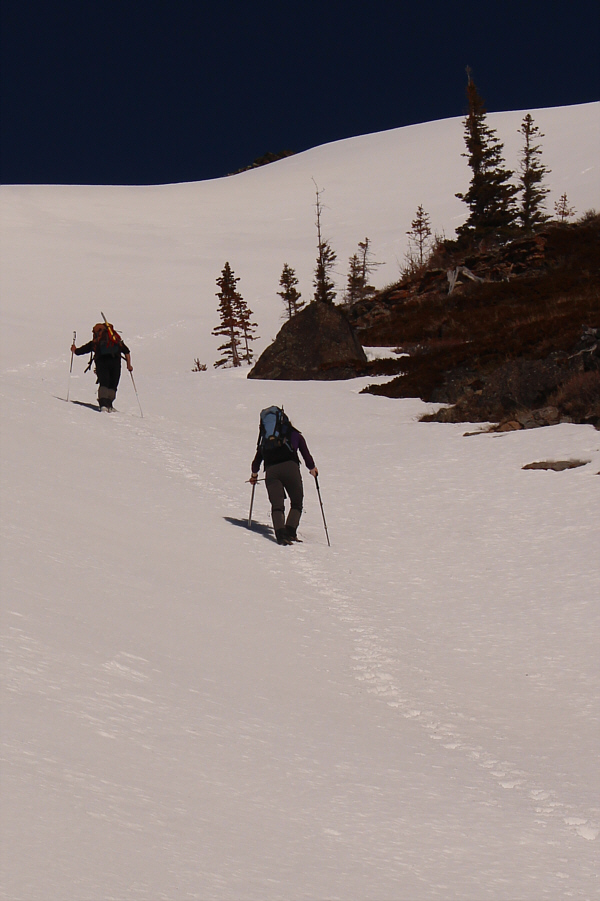 Too bad we didn't bring skis!