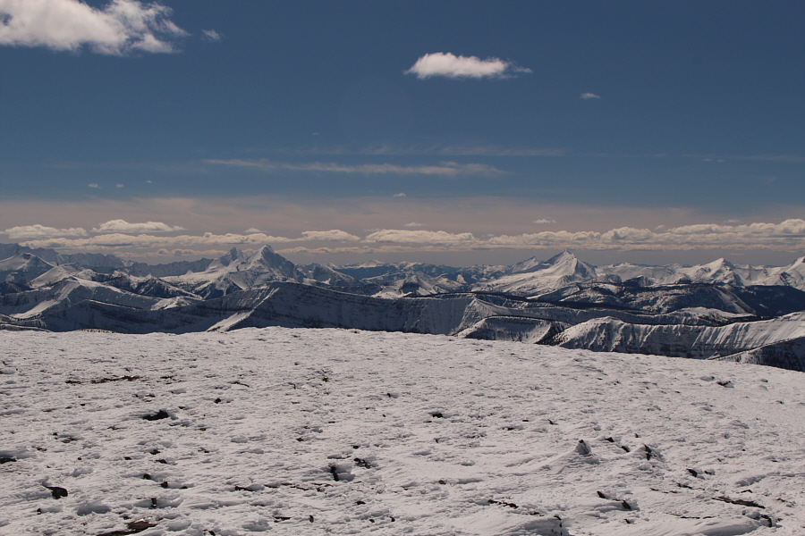 Never even heard of these until now!