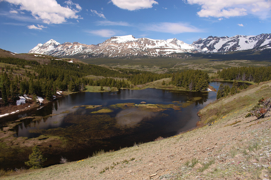 Wanna go for a swim?