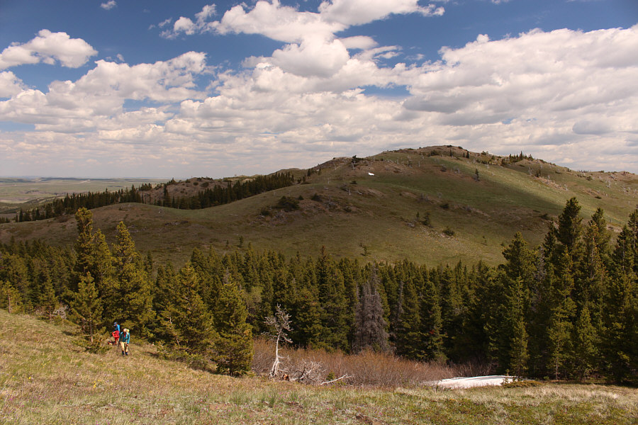 It's a bit of a thrash coming out of the dip...