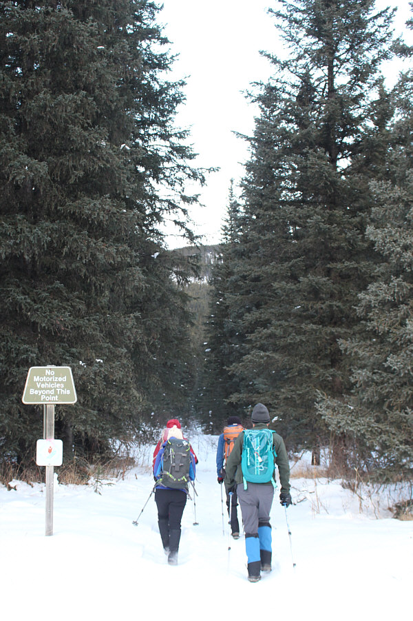 Almost enough snow to ski this!