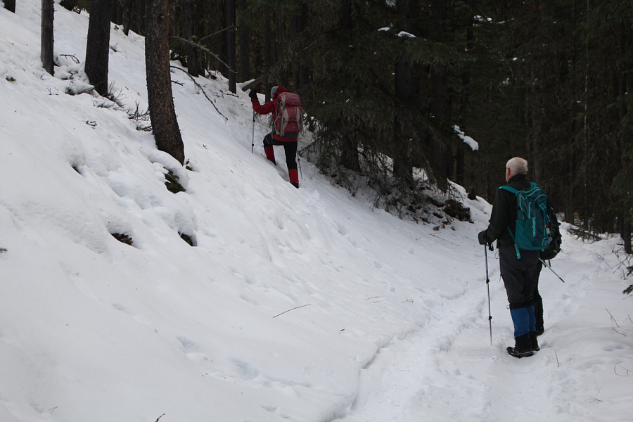 We overshot our turnoff by about 420 metres!