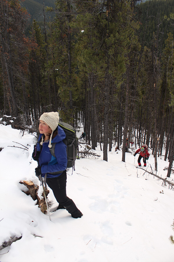 I'm just following the deer tracks...