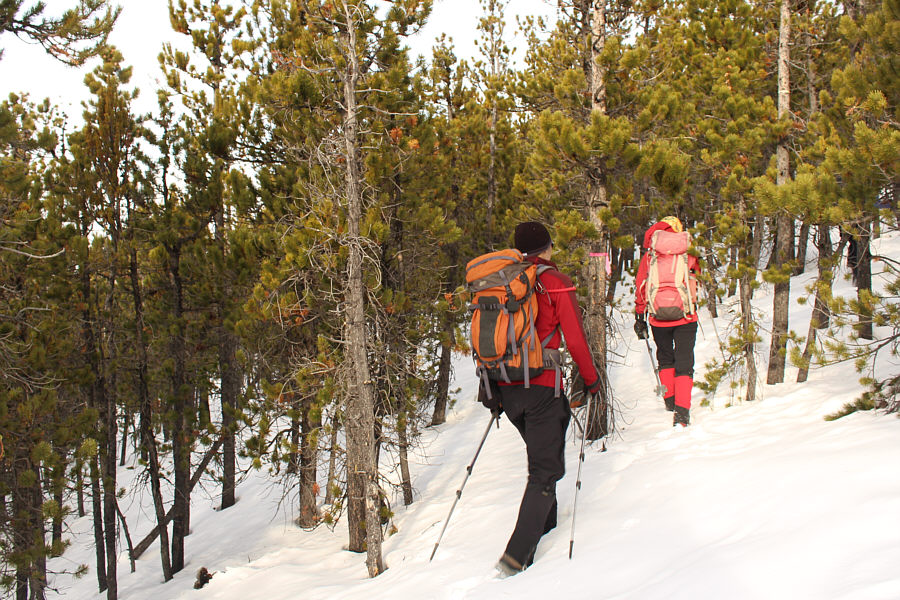 Somebody really went nuts with the flagging and put some on almost every other tree along the route!