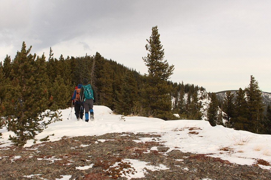 The forest sheltered us nicely from the chilly wind!
