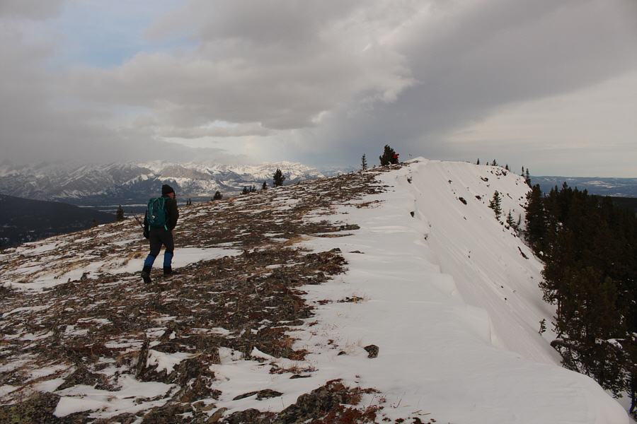 A geocache is hidden under the tree near the summit.