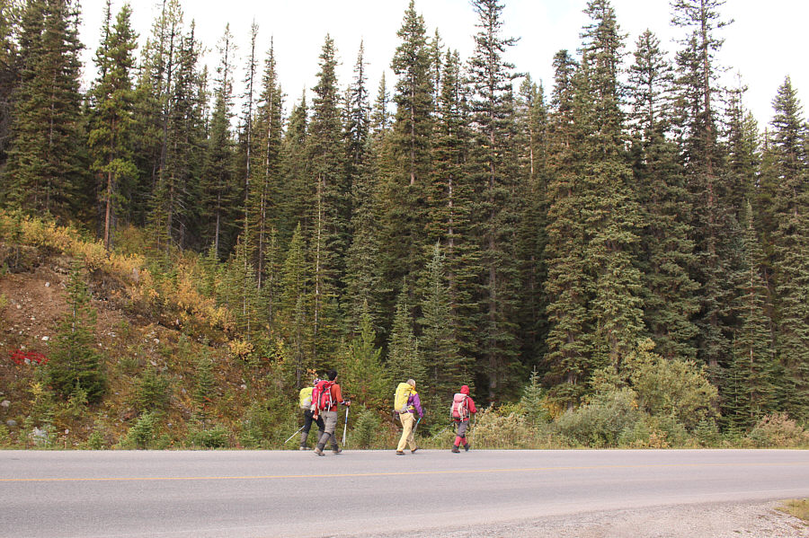 Driving by, you would never guess that there is trail here.