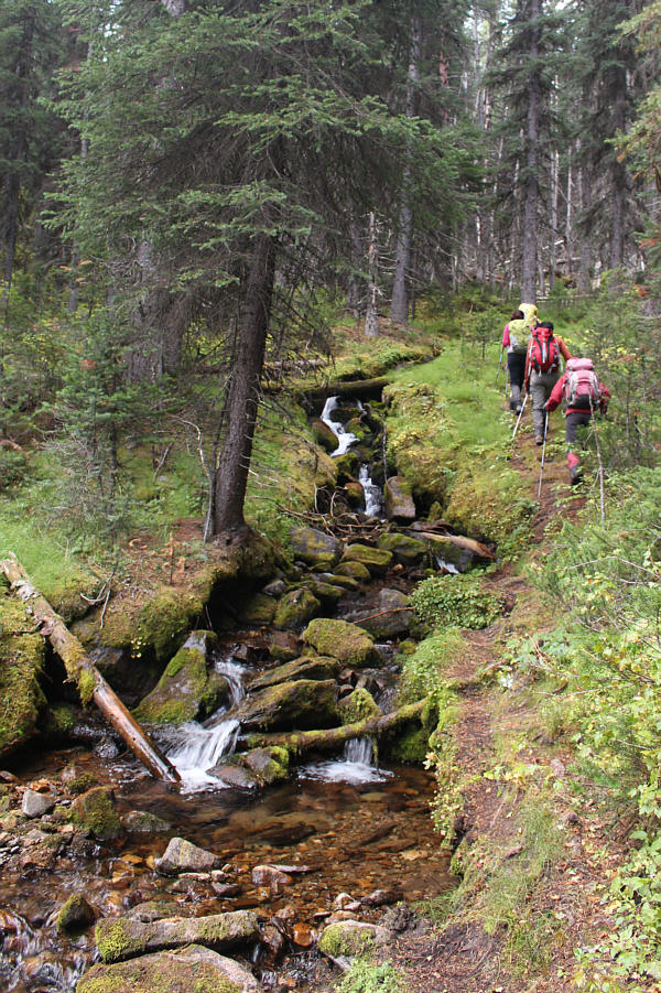 For some reason, this trail felt less overgrown than last year.