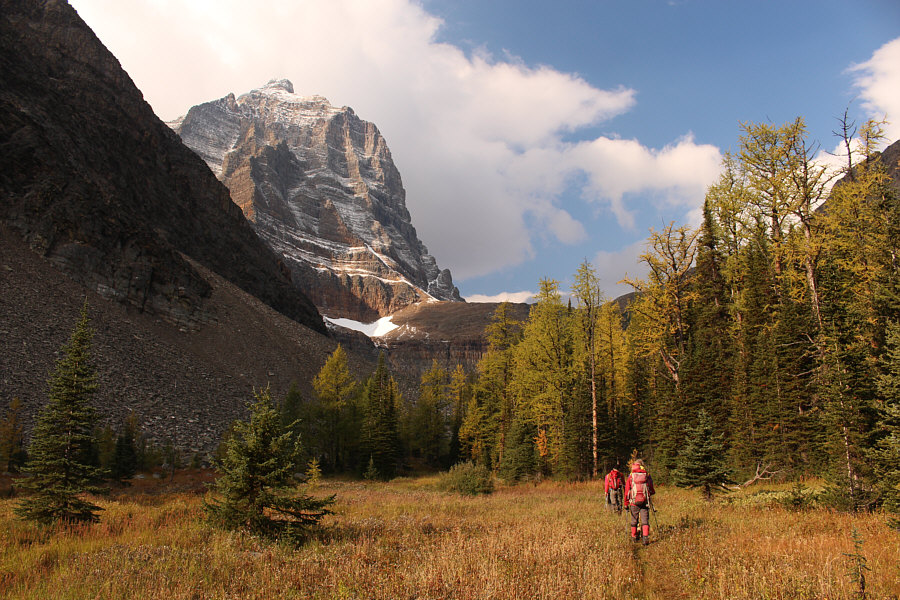 Such an arresting sight!