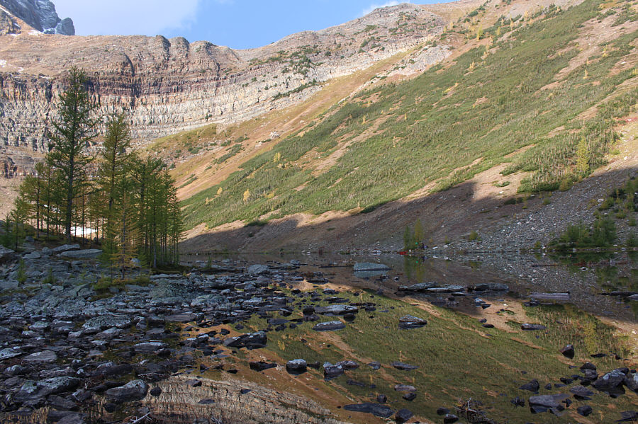 Sure beats doing research in a stuffy lab!