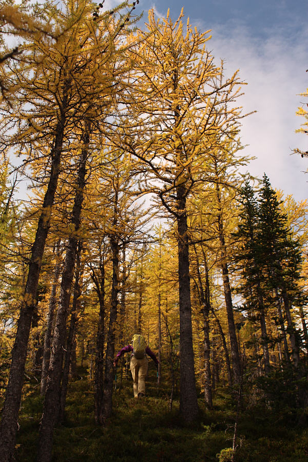 The larches match Marta's pants and backpack!