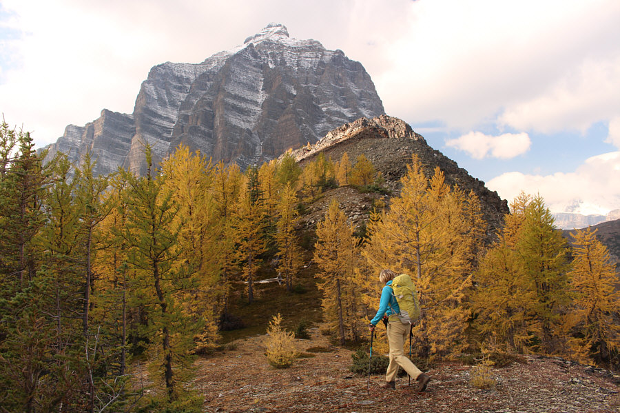 The ridge just keeps getting better and better!