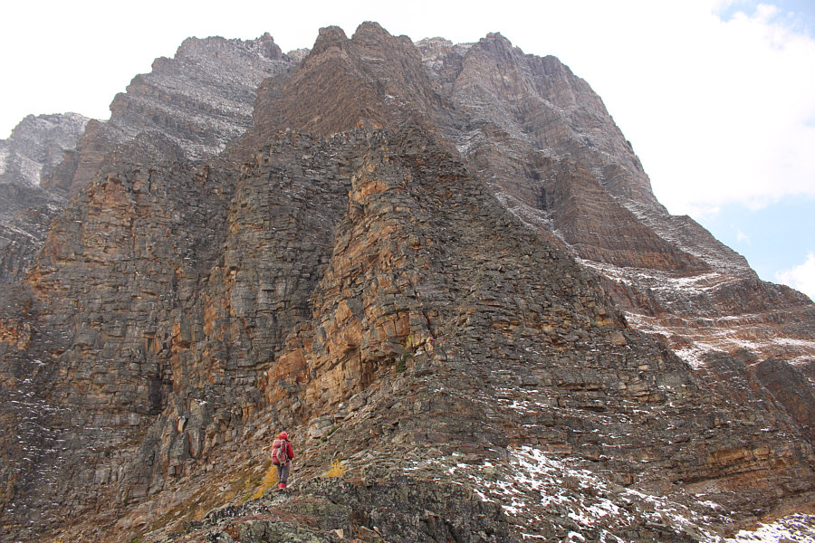 Looks like fun, but I'll pass!