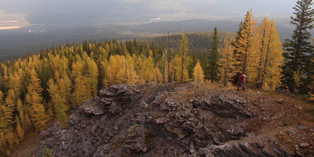 An advantage of returning the same way is...more larches!