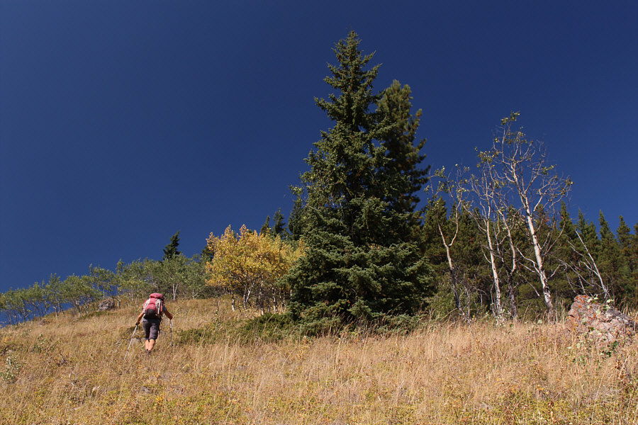 Brutally hot right now...