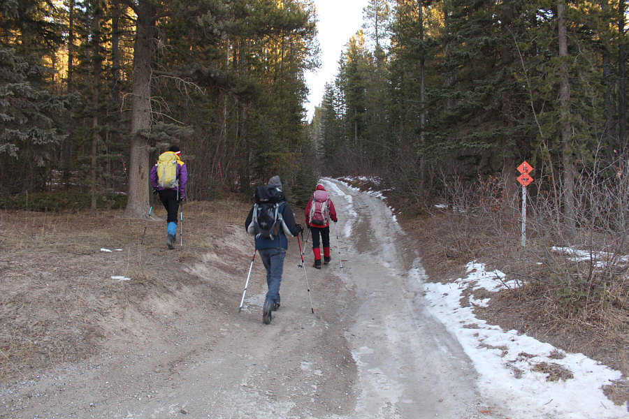 Taking the road less travelled...