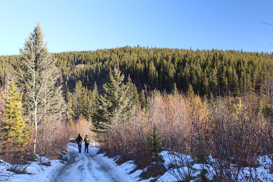 We made the mistake of leaving the road just ahead of here...don't!