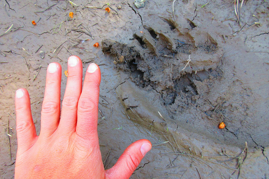 That's Zosia's hand!