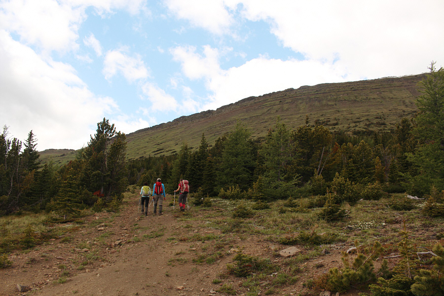 Pick your spot to bushwhack through the last trees.