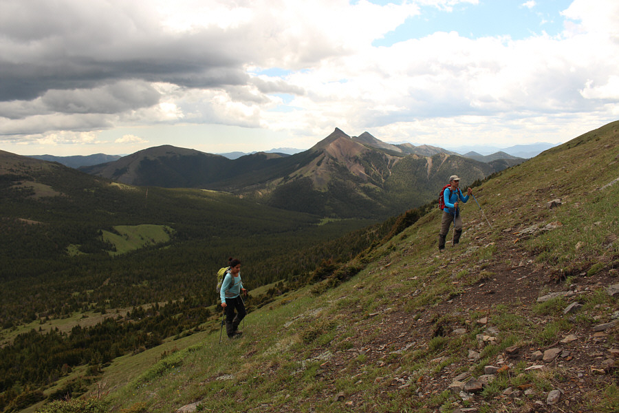 A couple of plucky Iranians!