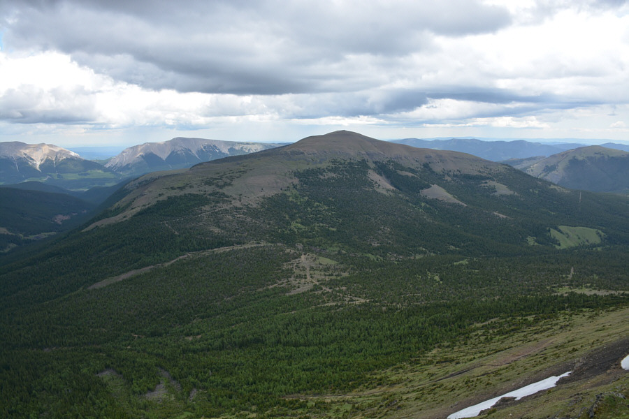 We probably would have gone and bagged this one had Zosia and I not been in a rush to get home for a dinner party.