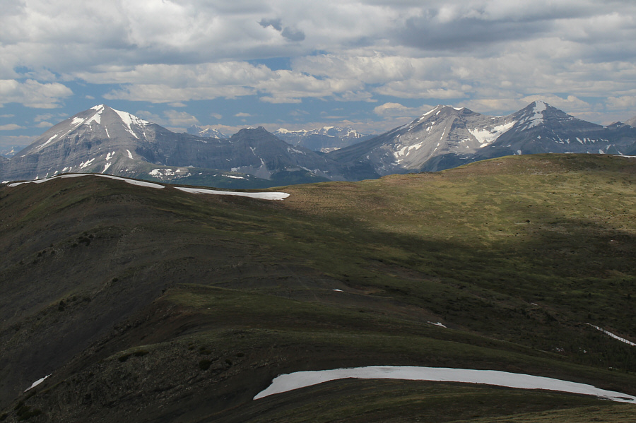 Looks like they're ready to be climbed!