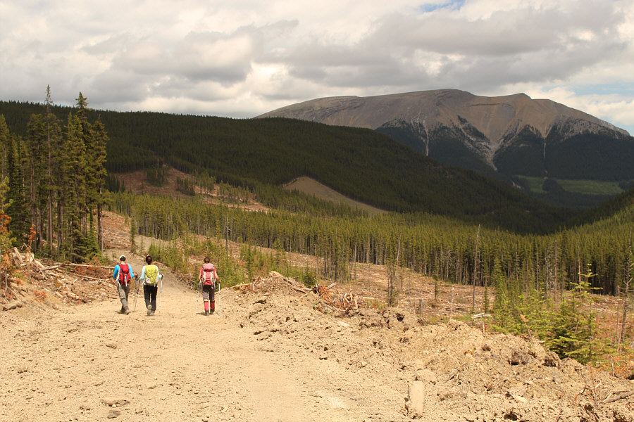 A bicycle, a bicycle! My kingdom for a bicycle!