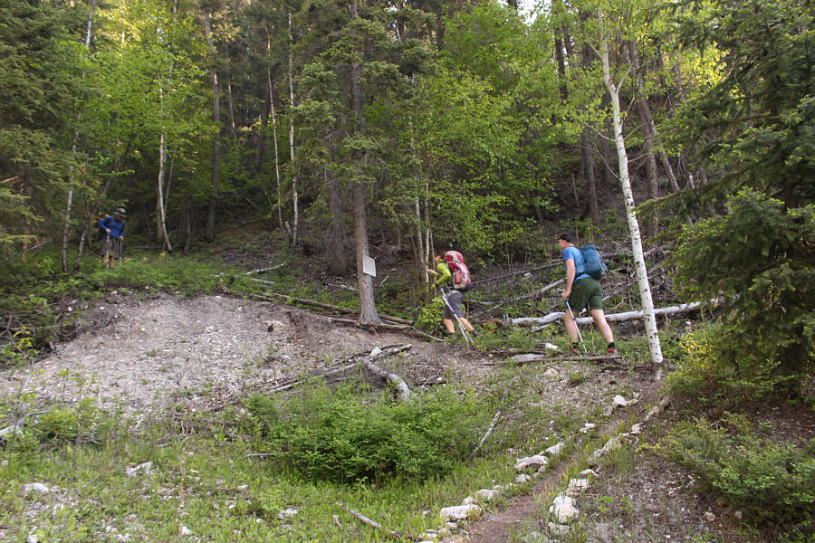 Let the grunting begin!