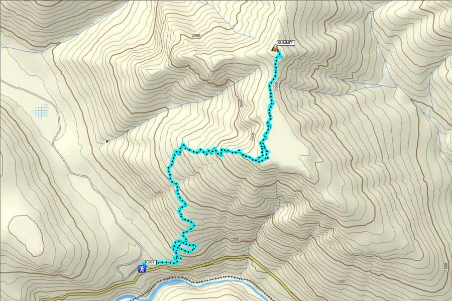 Should we call this the Golden Grind?