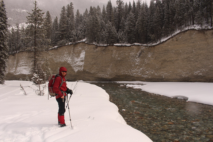 Good place for advertisements, no?