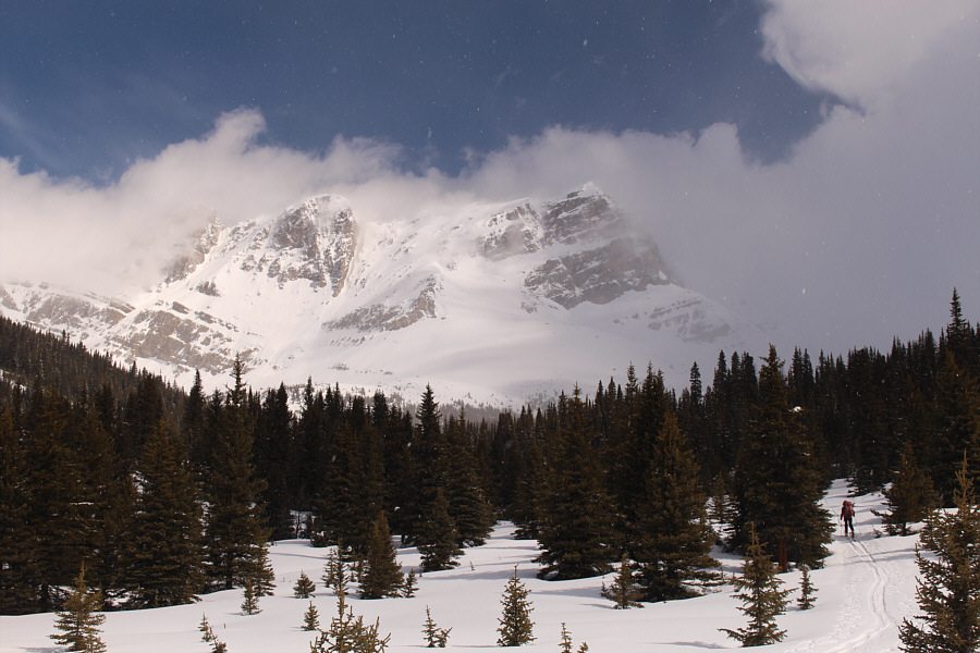 Yes, it is snowing...even as the sun is shining!