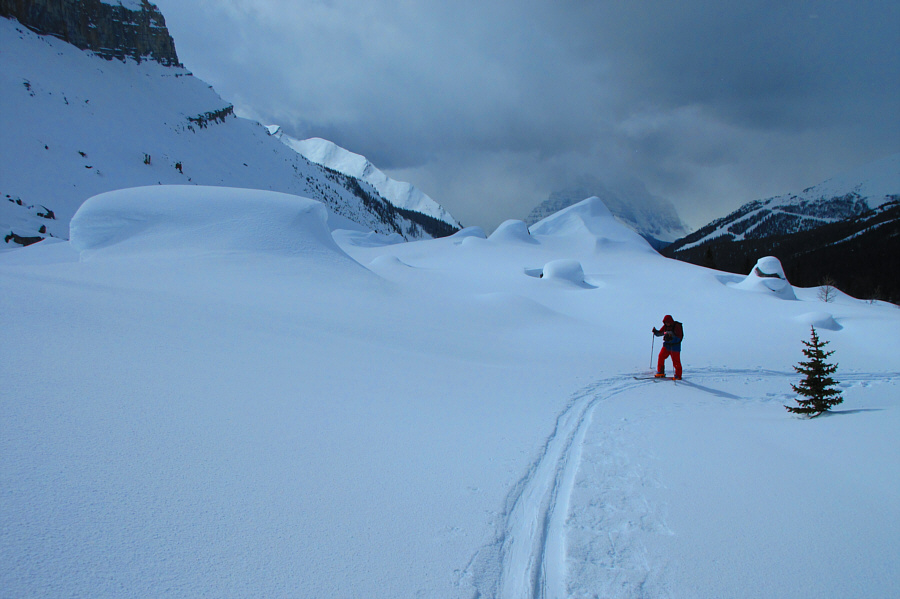 Looks like a storm is coming...