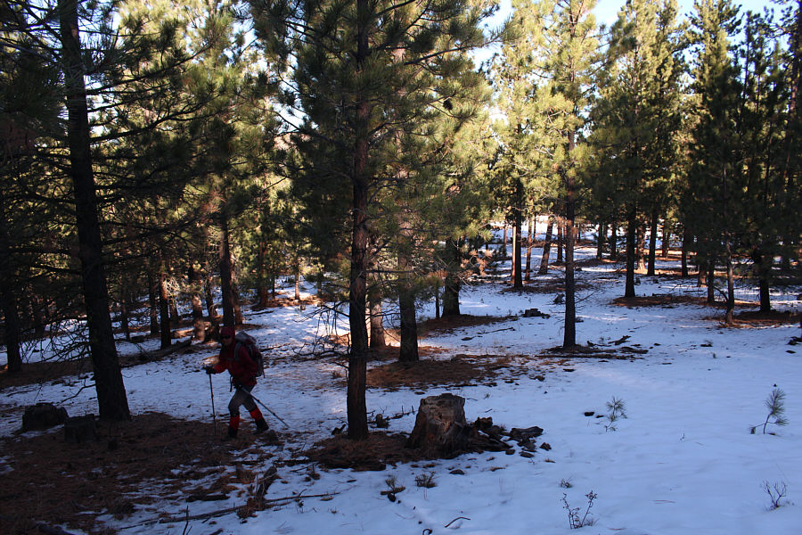 Watch yer step around here. Yippee ki yay, Cow Patti!