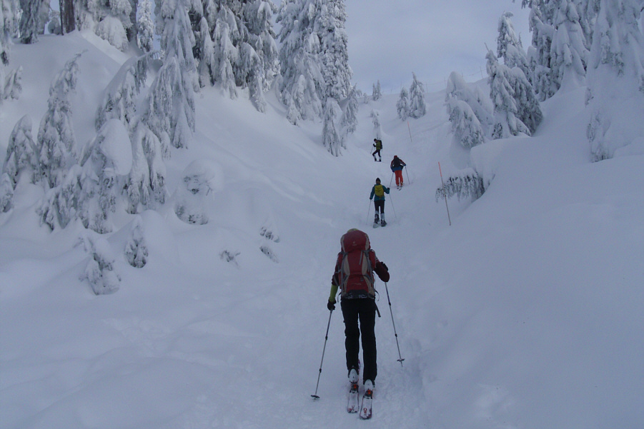 Still need to dodge snowshoers!