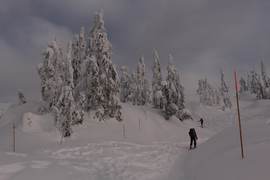Rule of Thumb if you get lost in North Shore Mountains:  Do NOT go downhill!