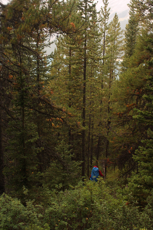 We will find a trail in here...somewhere!